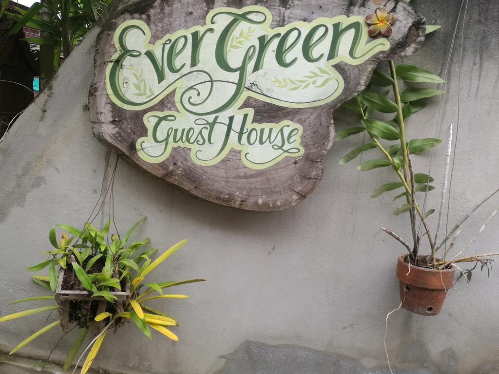 Ever Green Guest House - Sha Plus Paj Kültér fotó